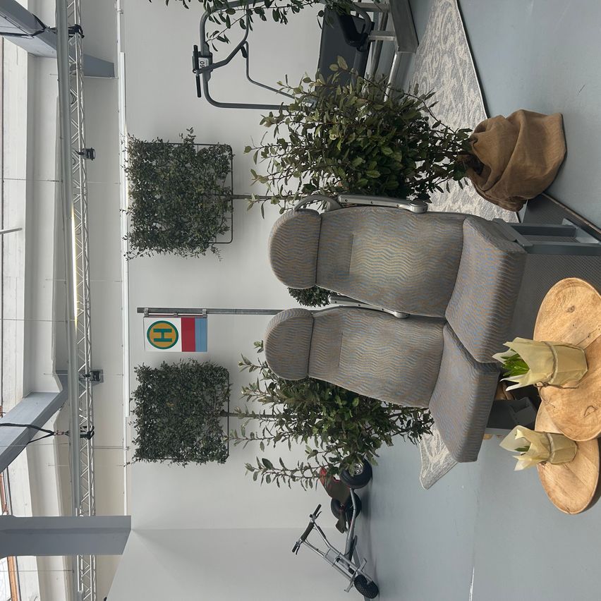 Bild enthält, Plant, Potted Plant, Furniture, Table, Indoors, Foyer, Interior Design, Living Room, Floor, Dining Table