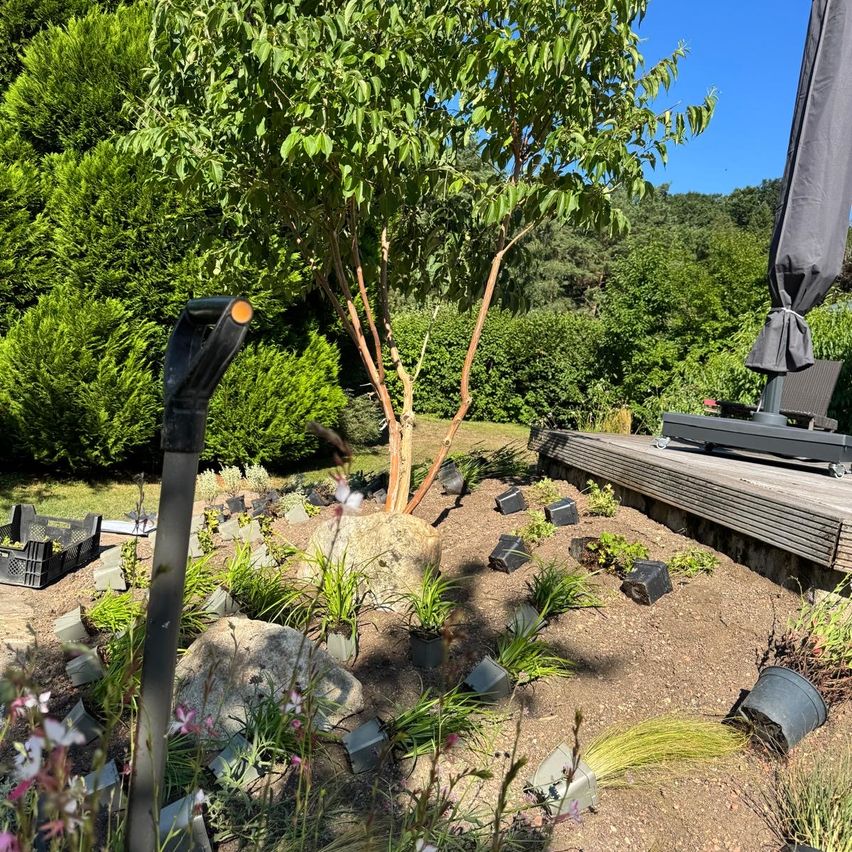 Ein Garten mit verschiedenen Pflanzen und Sträuchern, einschließlich eines Baumes mit orangefarbenen Blüten, einem großen Felsen und einem geschlossenen Schirm.