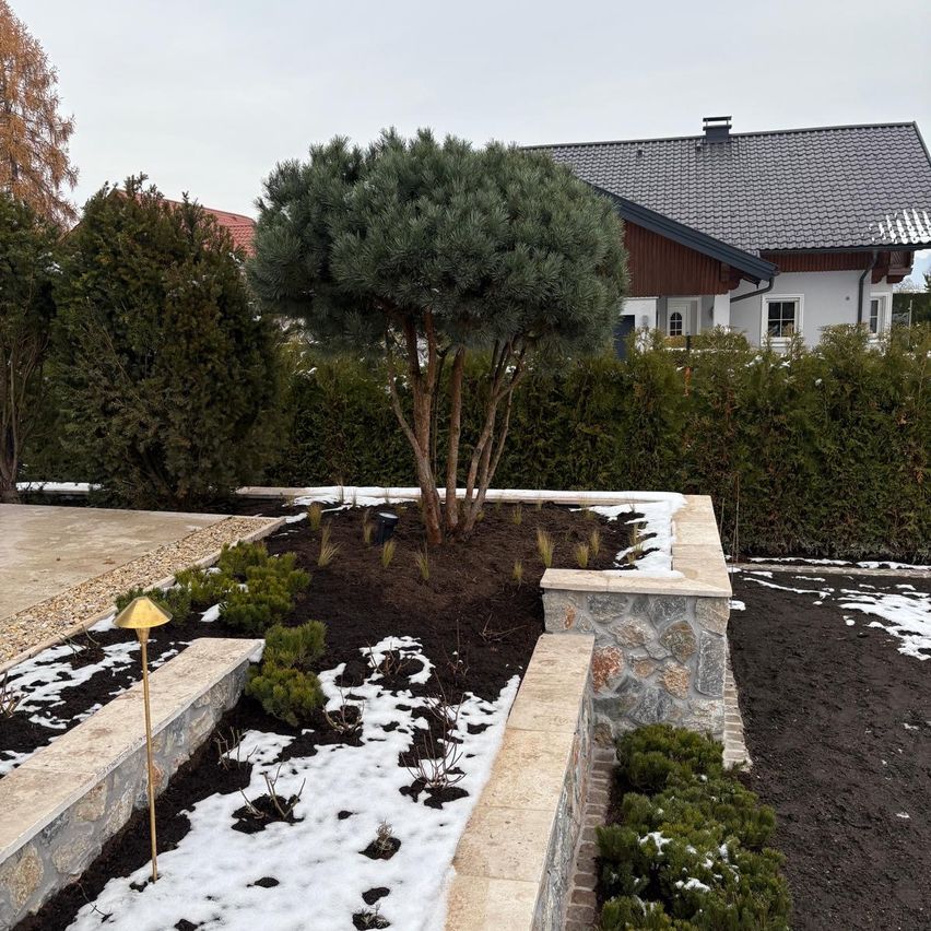 Ein Garten mit einem einzelnen Baum und einem Steinweg, umgeben von Schnee. Der Garten befindet sich neben einem Haus mit einem grauen Dach.