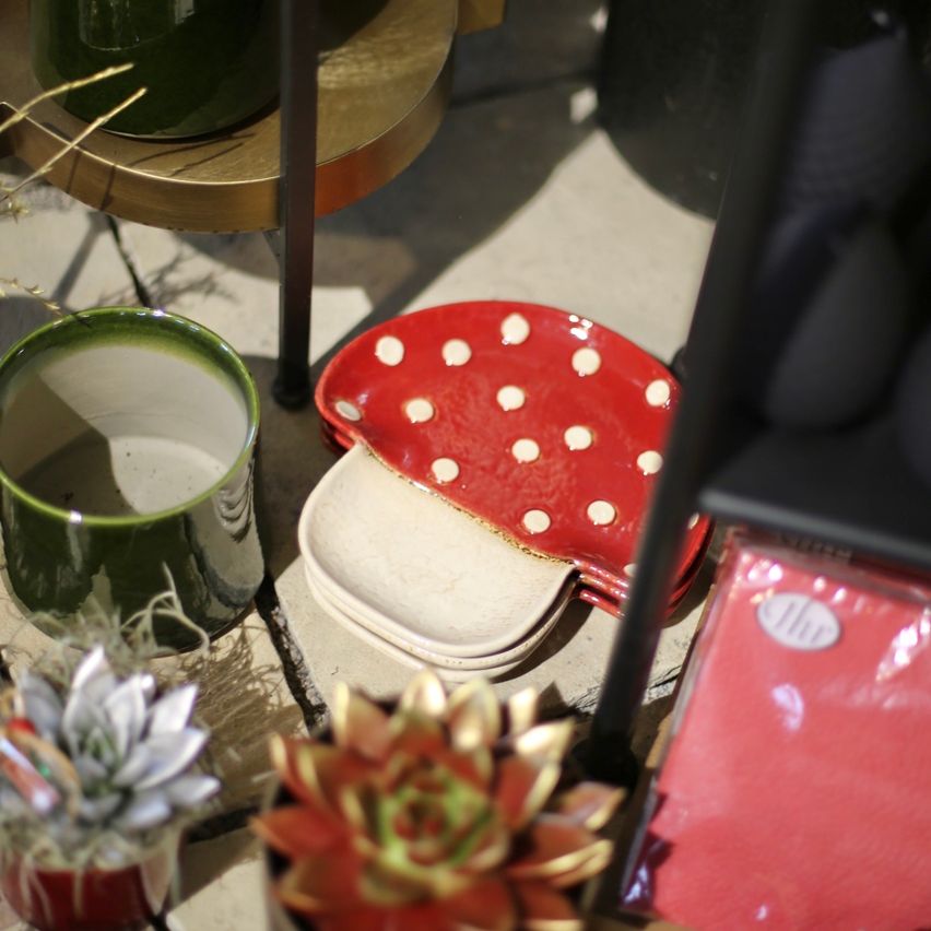 Ein Holzständer zeigt verschiedene Keramikartikel, darunter ein roter Teller mit weißen Punkten, einen grünen Becher und mehrere Sukkulenten in verschiedenen Töpfen.