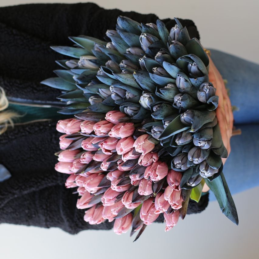 A person holds a large bouquet of tulips, with pink and blue flowers. The bouquet has a mix of colors, with pink flowers at the bottom and blue flowers on top. The leaves are green.