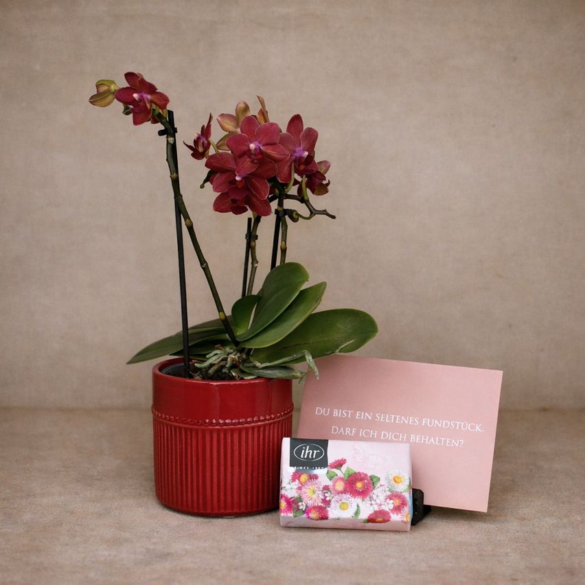 Eine rote Orchideenpflanze in einem roten Topf, mit einer rosa Karte und einer kleinen, blumig gemusterten Schachtel. Die Karte lautet: 'Du bist ein seltenes Fundstück. Darf ich dich behalten?' Die kleine Schachtel hat die Initialen 'IHR' darauf.