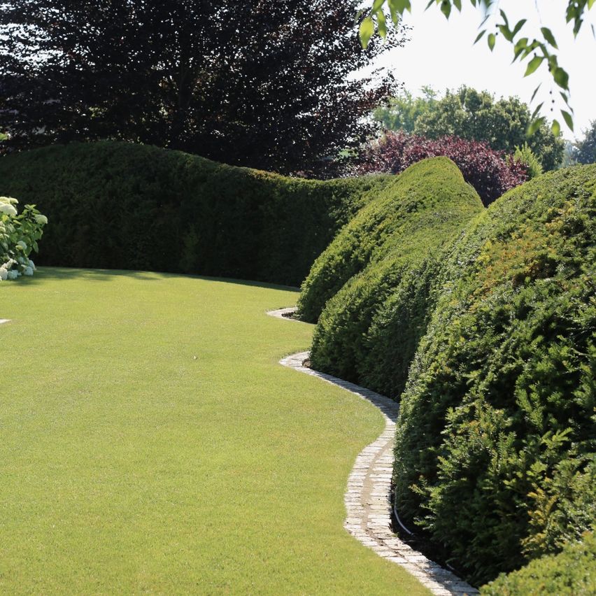 A neatly trimmed lawn with a curved brick path, surrounded by hedges and trees. A white flower plant is in the left corner.