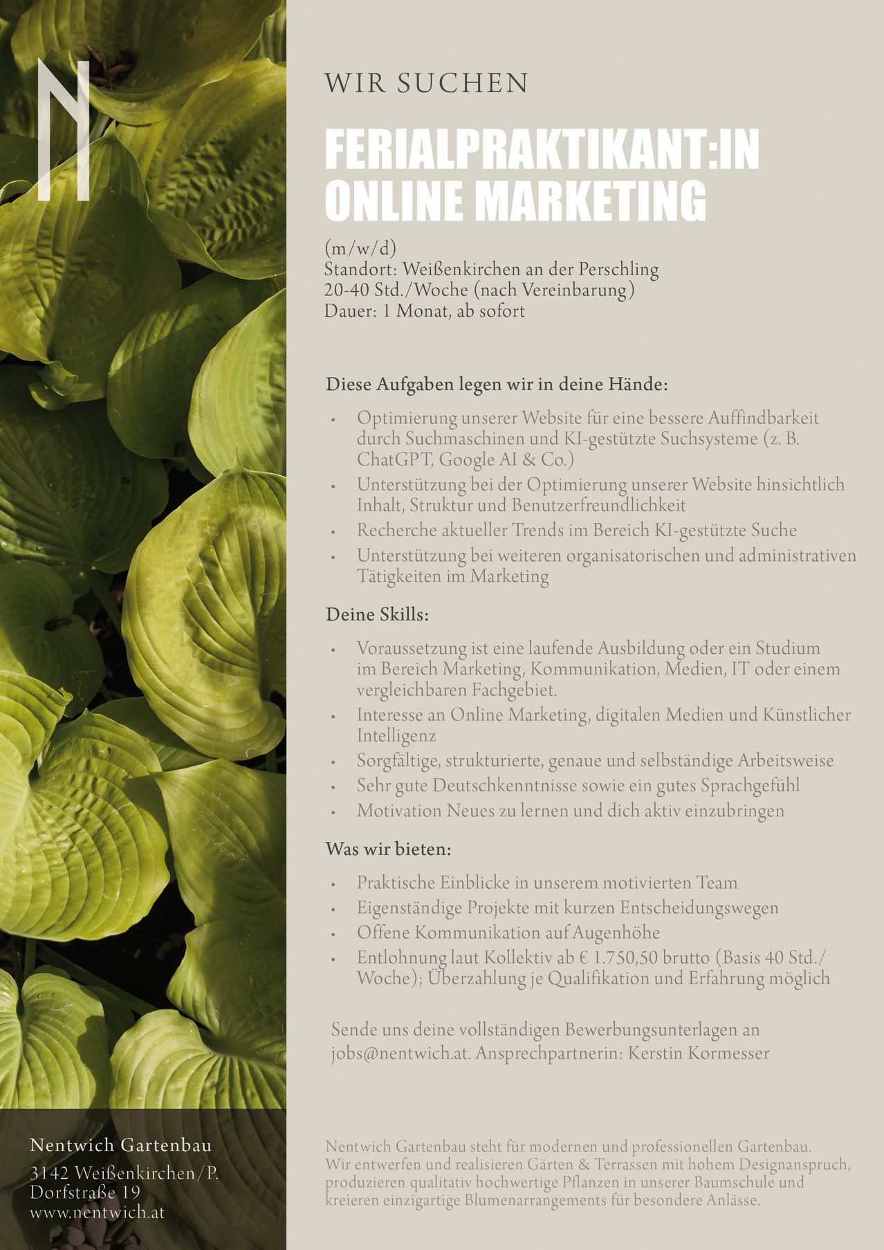 A job posting for online marketing roles with a focus on AI-assisted search optimization, content support, trend research, and marketing tasks. Requirements include a background in marketing, communication, media, IT, or a related field, along with skills in online marketing, digital media, and artistic intelligence. Benefits include practical insights, independent projects, open communication, and a competitive salary.