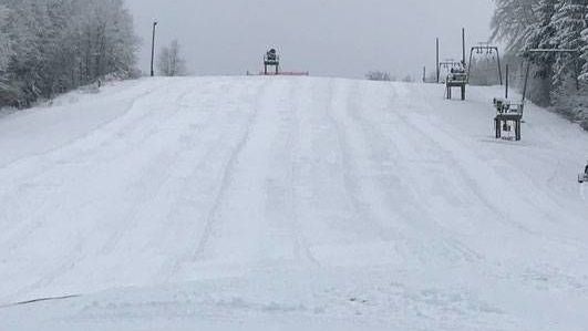 v1_migrated_image_55369224