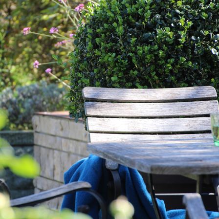 Bild enthält, Bench, Furniture, Garden, Nature, Outdoors, Wood, Housing, Patio, Cup, Arbour
