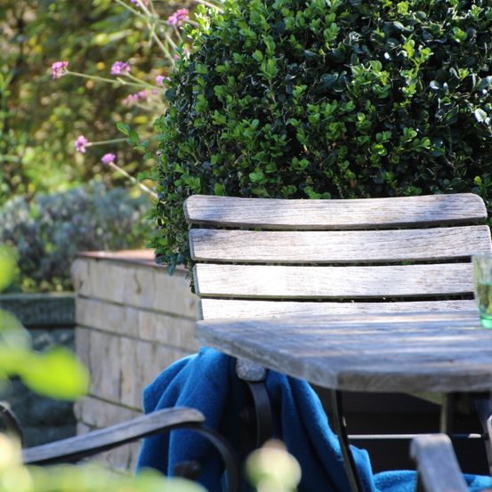 Bild enthält, Bench, Furniture, Garden, Nature, Outdoors, Wood, Housing, Patio, Cup, Arbour