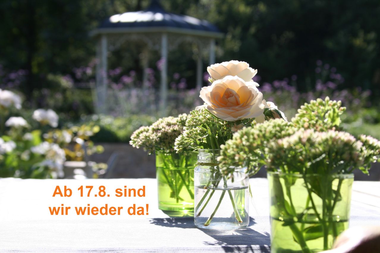 Drei Vasen mit Blumen auf einem Tisch, eine mit einer Rose, in einem Garten mit einem Pavillon im Hintergrund. Der deutsche Textüberlagerung lautet 'ab 17.8. sind wir wieder da!'.