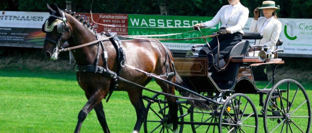 v1_migrated_image_17705253