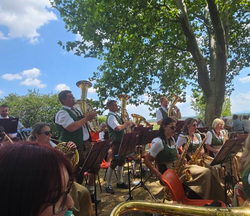 Eine Gruppe von Musikern in traditioneller Kleidung spielt im Freien unter einem großen Baum. Sie spielen Blech- und Holzblasinstrumente, einige sitzen und andere stehen.