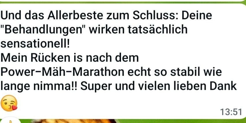 Eine Textnachricht mit einem deutschen Kommentar lobt die Stabilität des Rückens einer Person nach einem Training und endet mit einer positiven Note und der Nummer 13.