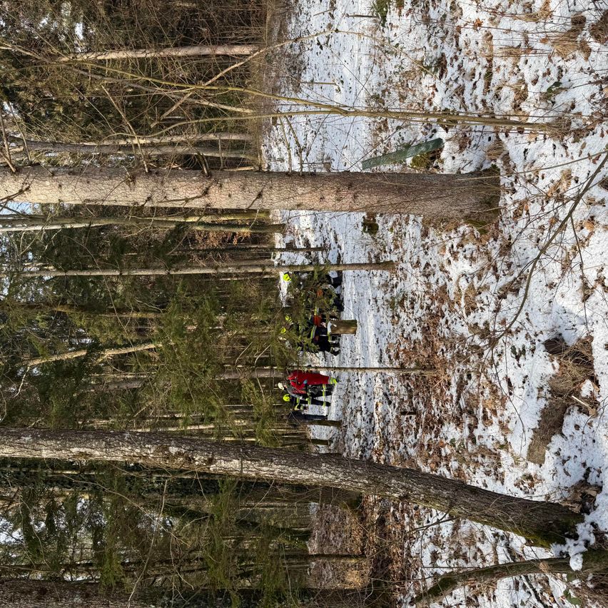 Luftaufnahme eines verschneiten Waldes mit Einsatzkräften in roter und gelber Ausrüstung. Die Bäume sind kahl, und Schnee bedeckt den Boden.