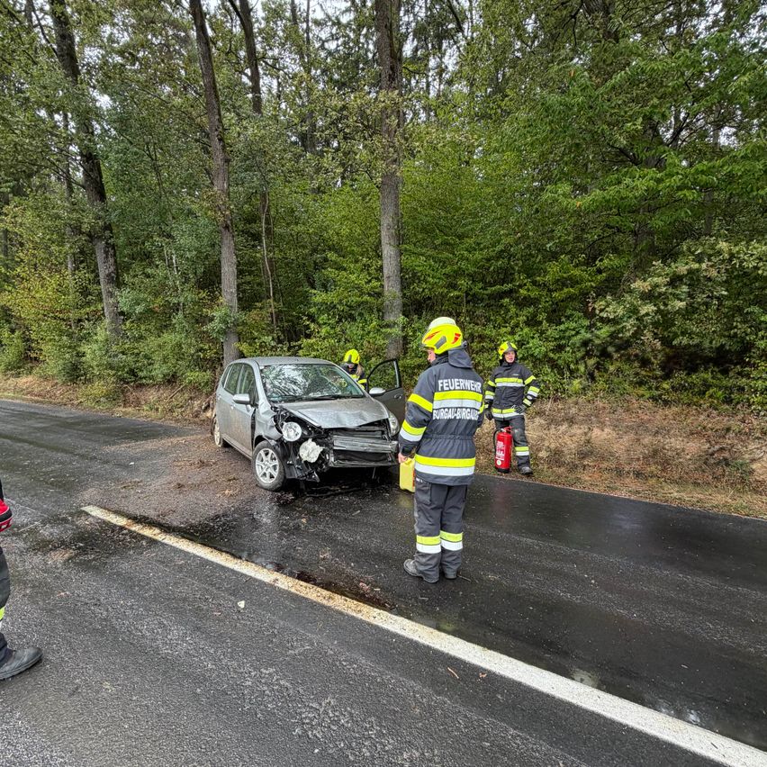 Feuerwehrleute kümmern sich um ein beschädigtes Auto am Straßenrand, einer hält einen Feuerlöscher.