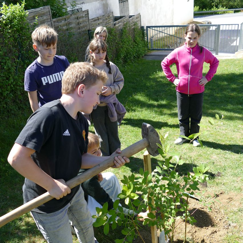 Eine Gruppe von Kindern und einem Erwachsenen ist in einem Hinterhof. Ein Junge in Schwarz hält einen Hammer und pflanzt einen Baum. Ein anderes Kind kniet auf dem Boden.