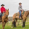 Animal, Horse, Mammal, Adult, Female, Person, Woman, Equestrian