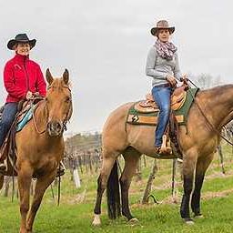 Bild enthält, Animal, Horse, Mammal, Adult, Female, Person, Woman, Equestrian