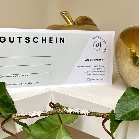 Ein Gutschein von 'Gutes für Dich' mit Logo, Firmendetails und Bedingungen auf einer weißen Oberfläche mit grünen Blättern. Dahinter befinden sich zwei dekorative goldene Äpfel.