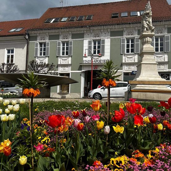 Bild enthält, Flower, Housing, House, Potted Plant, Nature, Outdoors, Urban, Person, Wheel, Car