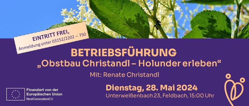 Bild enthält, Herbal, Plant, Advertisement, Poster, Vegetation, Leaf, Flower, Apiaceae