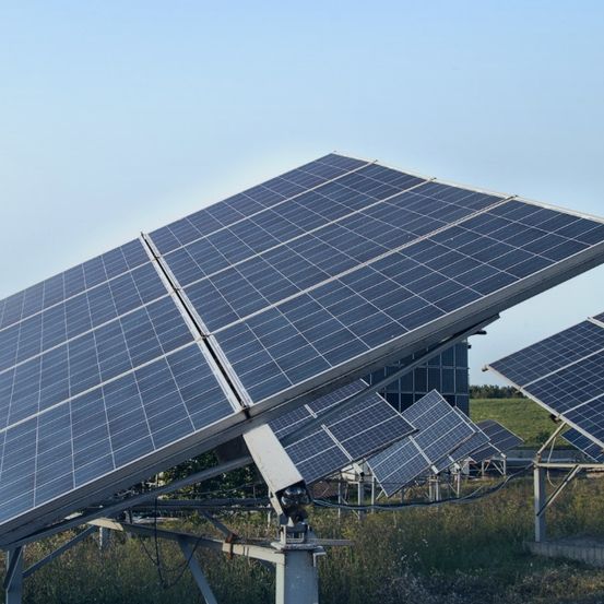 Solarmodule in einer Reihe auf Metallständern in einem Feld unter klarem Himmel angeordnet.
