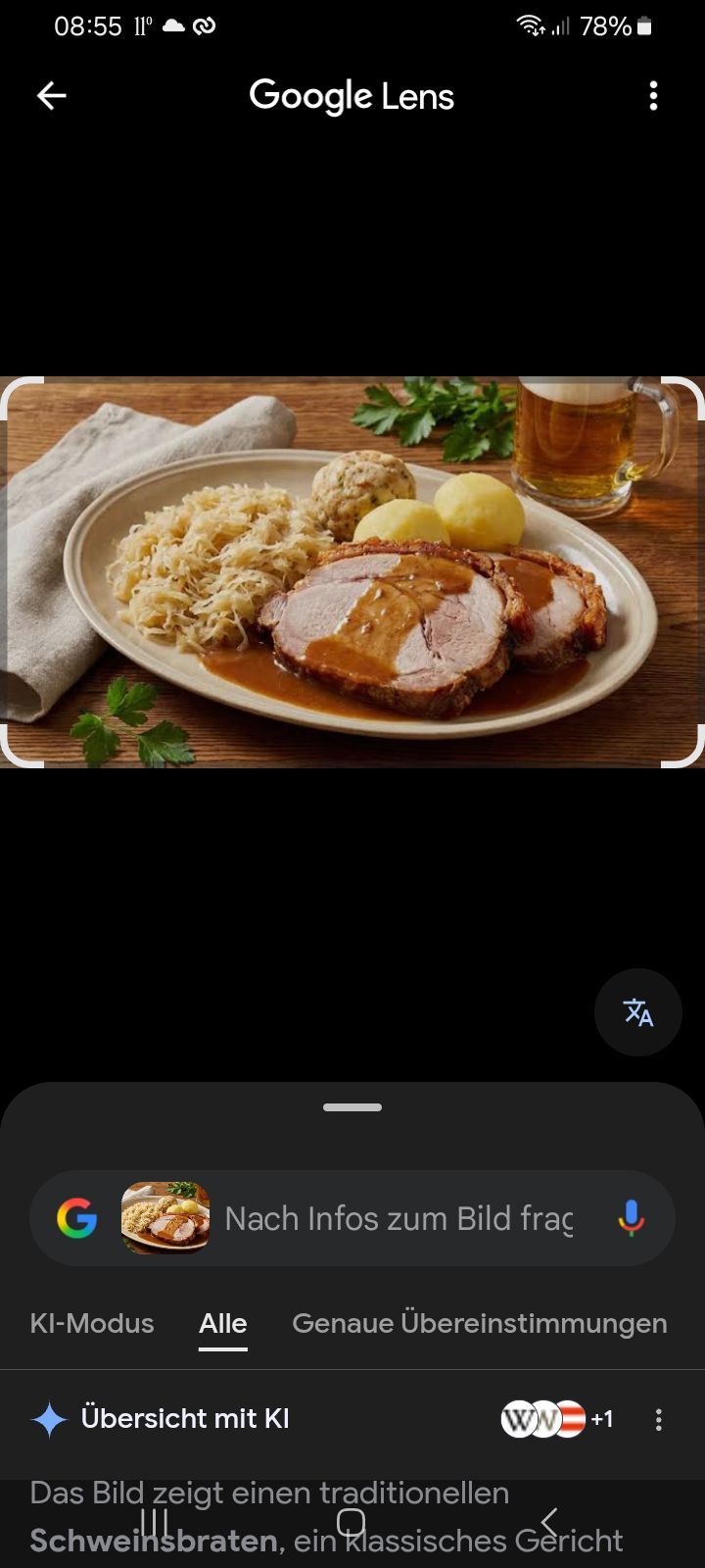 Ein Teller mit Schweinebraten, Sauerkraut und Kartoffeln, begleitet von einem Glas Bier.
