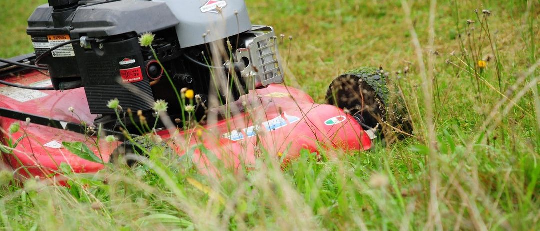 Ein roter Rasenmäher mit schwarzem Motor und grauem Griff liegt im hohen Gras.