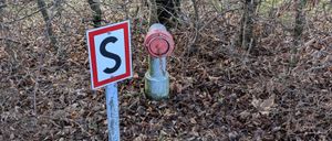 A sign with the letter S and a fire hydrant are placed in a field covered with dried leaves.