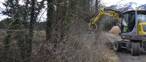 A yellow excavator is parked on a dirt road, trimming the branches of a tree. The area is surrounded by dried grass and bare trees. In the distance, there are mountains covered in snow.