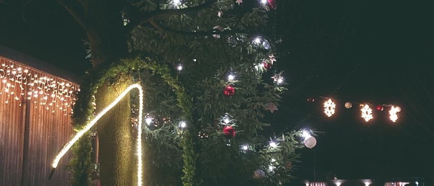 Ein mit bunten Lichtern geschmückter Weihnachtsbaum steht in einem dunklen Bereich, nahe eines Gebäudes und Straßenlaternen.