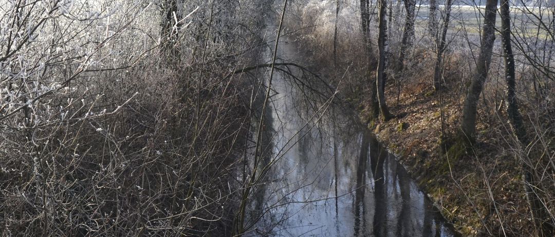Eine friedliche Winterszene eines kleinen Baches, eingehüllt in Frost, umgeben von kahlen Bäumen und trockenen Blättern, mit der Sonne, die sanftes Licht spendet.