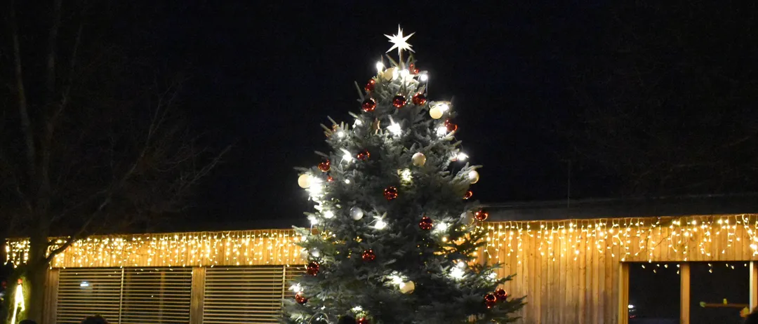 Eine Gruppe von Menschen versammelt sich nachts um einen geschmückten Weihnachtsbaum.