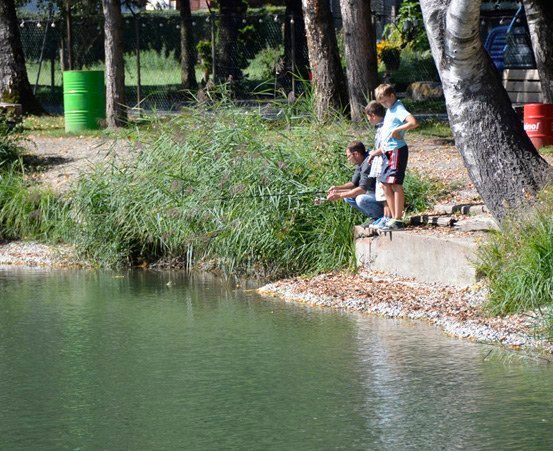 Bild enthält, Grass, Outdoors, Park, Pond, Vegetation, Tree, Grove, Woodland, Path, Scenery