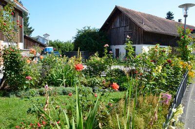 Bild enthält, Garden, Nature, Outdoors, Backyard, Yard, Gardening, Grass, Plant, Landscape, Neighborhood