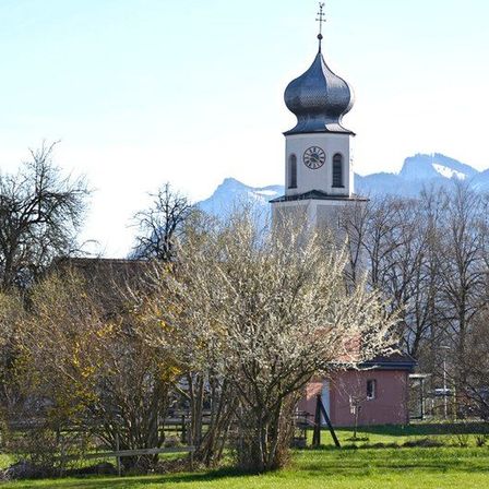 Bild enthält, Architecture, Building, Clock Tower, Tower, Bell Tower, Monastery, Spire, Grass, Plant