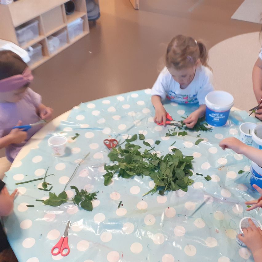 Eine Gruppe von Kindern schneidet Kräuter mit Scheren an einem Tisch, der mit einer Tischdecke mit Punkten bedeckt ist.
