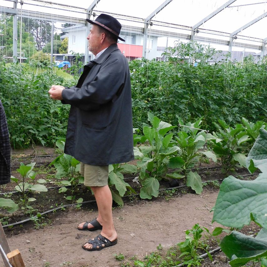 Ein älterer Mann mit Hut und Sandalen steht in einem Garten und zeigt auf Pflanzen. Der Garten ist von einem Gewächshaus bedeckt, mit anderen Pflanzen und einem Haus im Hintergrund.