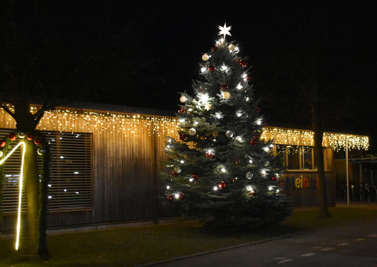 Ein geschmückter Weihnachtsbaum steht vor einem Gebäude, beleuchtet von bunten Lichtern und einem Stern oben. Der Baum ist von einem grünen Rasen umgeben.