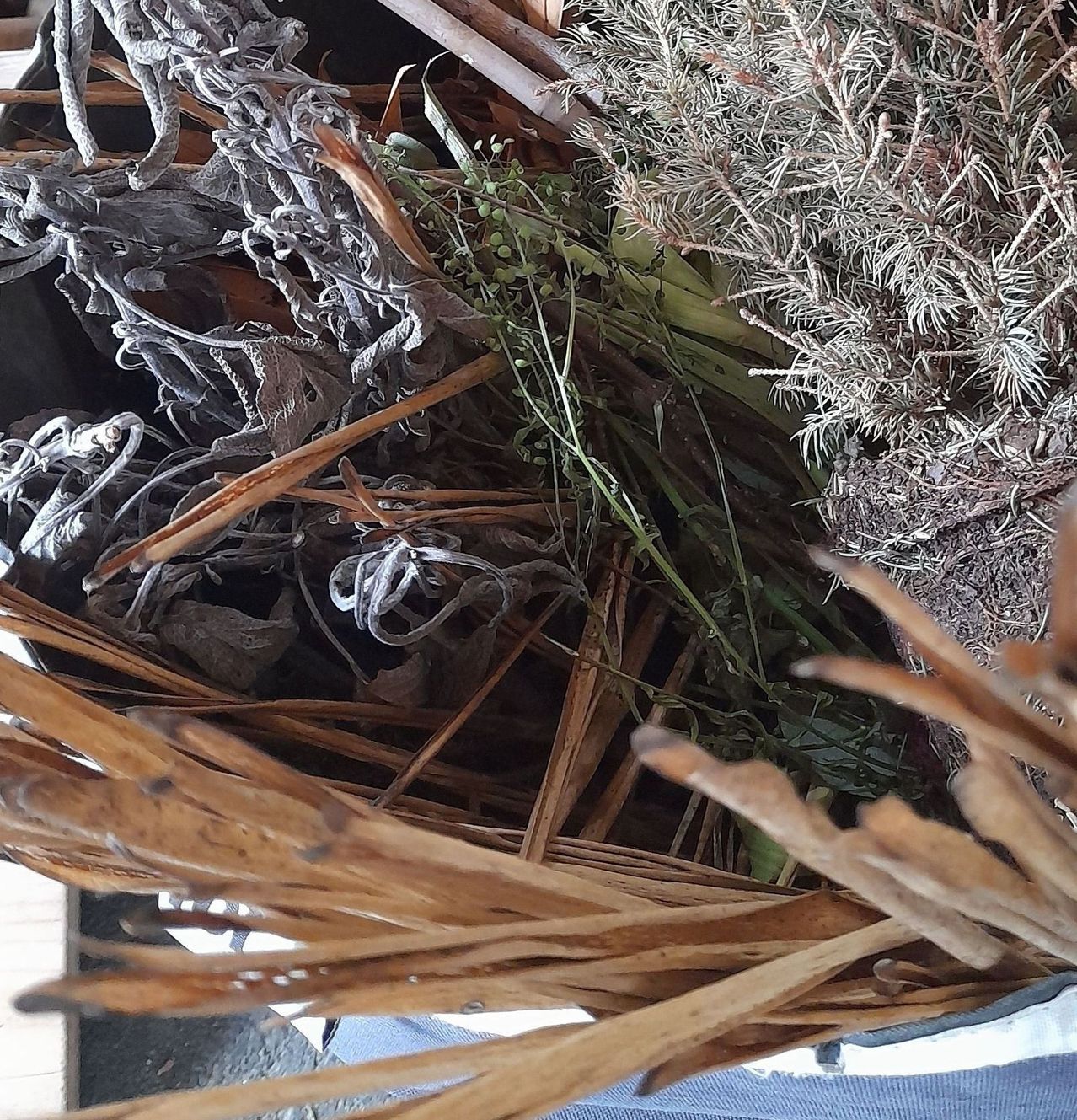 Ein Korb mit getrockneten Pflanzen und Zweigen, einige mit grünen Blättern, liegt auf einem Boden.