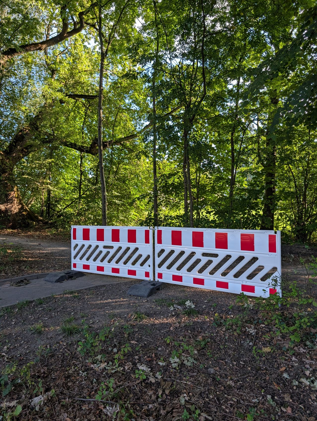 Eine rote und weiße Absperrung steht auf einem Pfad im Wald, umgeben von üppigem grünem Laub und Pflanzen.
