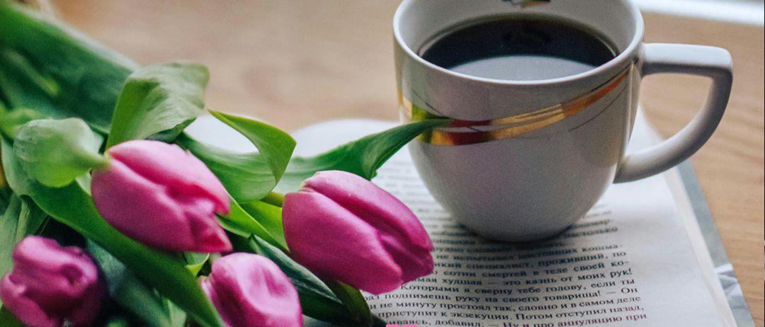 Ein offenes Buch mit Tulpen und einer Kaffeetasse. Die Tasse hat einen goldenen Rand. Darüber befindet sich ein Logo. Der Text lautet Bucherei Cafe.