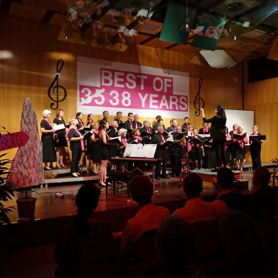 Bild enthält, Group Performance, Person, Urban, People, Adult, Male, Man, Speaker, Musician, Singing