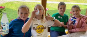 Bild enthält, Summer, Grass, Portrait, Park, T-Shirt, Ice Cream, Potted Plant, Dining Table, Table, People