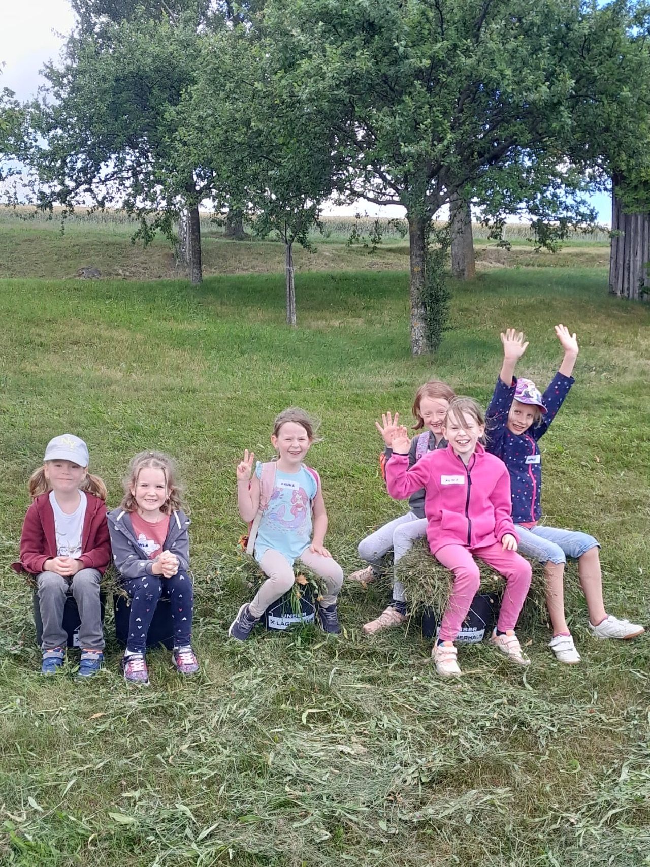 Bild enthält, Grass, Nature, Park, Photography, Portrait, Tree, People, Vegetation, Pants, Grove
