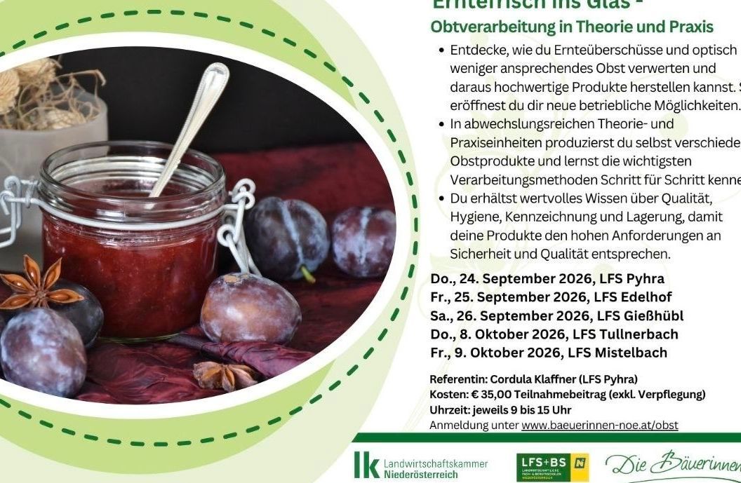 Pflaumenmarmelade im Glas mit frischen Pflaumen und Sternanis.