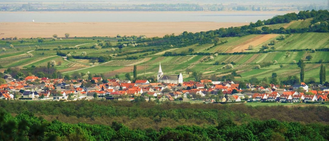 Luftaufnahme eines Dorfes mit roten Dächern, umgeben von üppigen grünen Feldern und Bäumen. Eine Kirche steht in der Mitte, mit einem Fluss und entfernten Hügeln im Hintergrund.