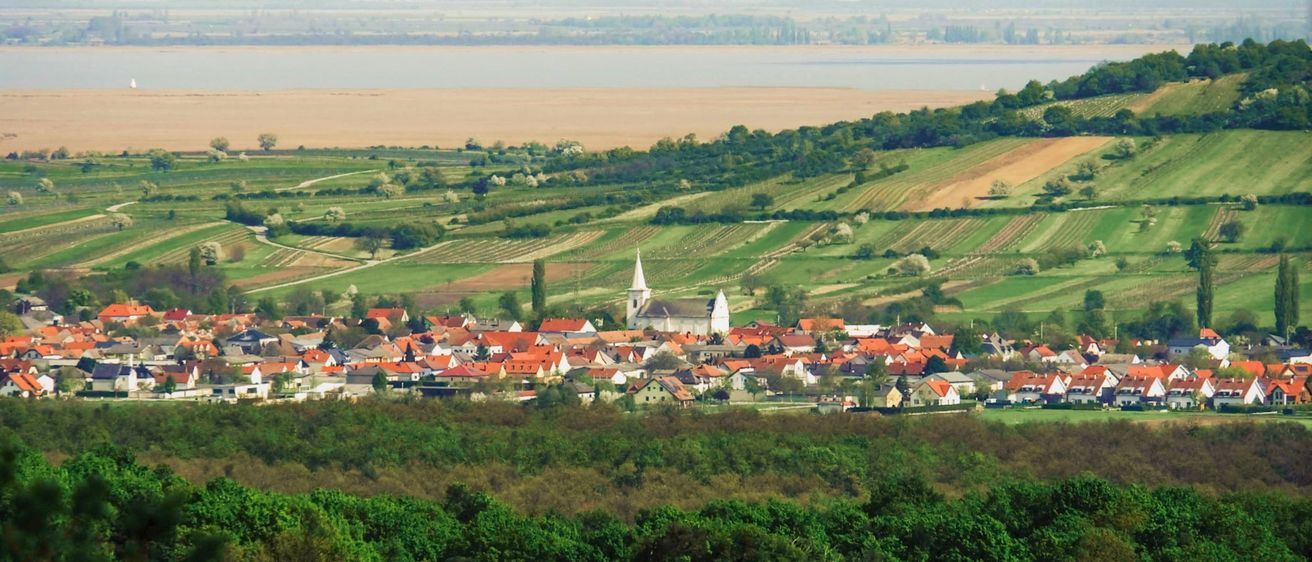 Luftaufnahme eines Dorfes mit roten Dächern, umgeben von üppigen grünen Feldern und Bäumen. Eine Kirche steht in der Mitte, mit einem Fluss und entfernten Hügeln im Hintergrund.