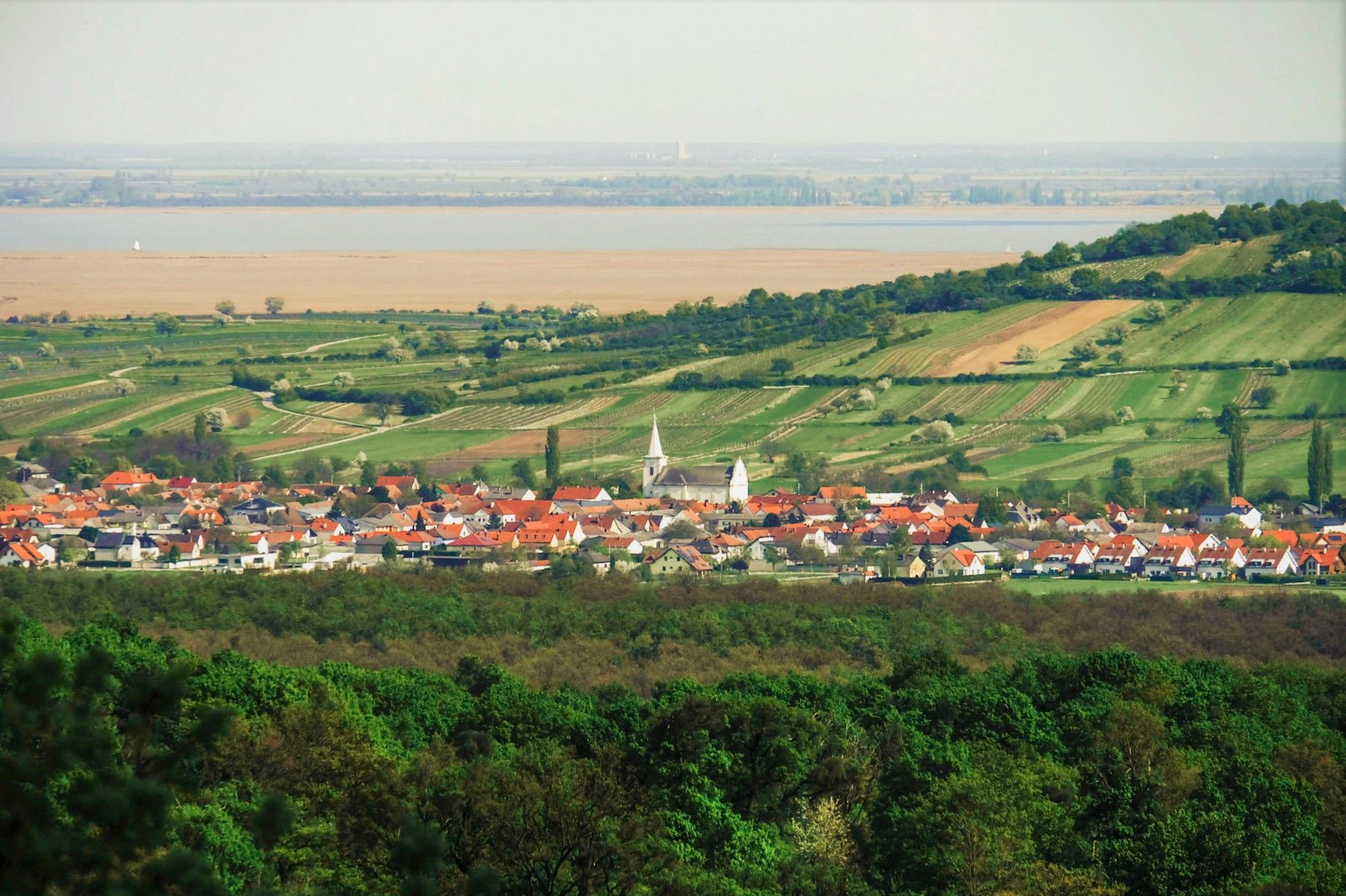 Luftaufnahme eines Dorfes mit roten Dächern, einer Kirche und umgeben von grünen Feldern und einem Gewässer in der Ferne.