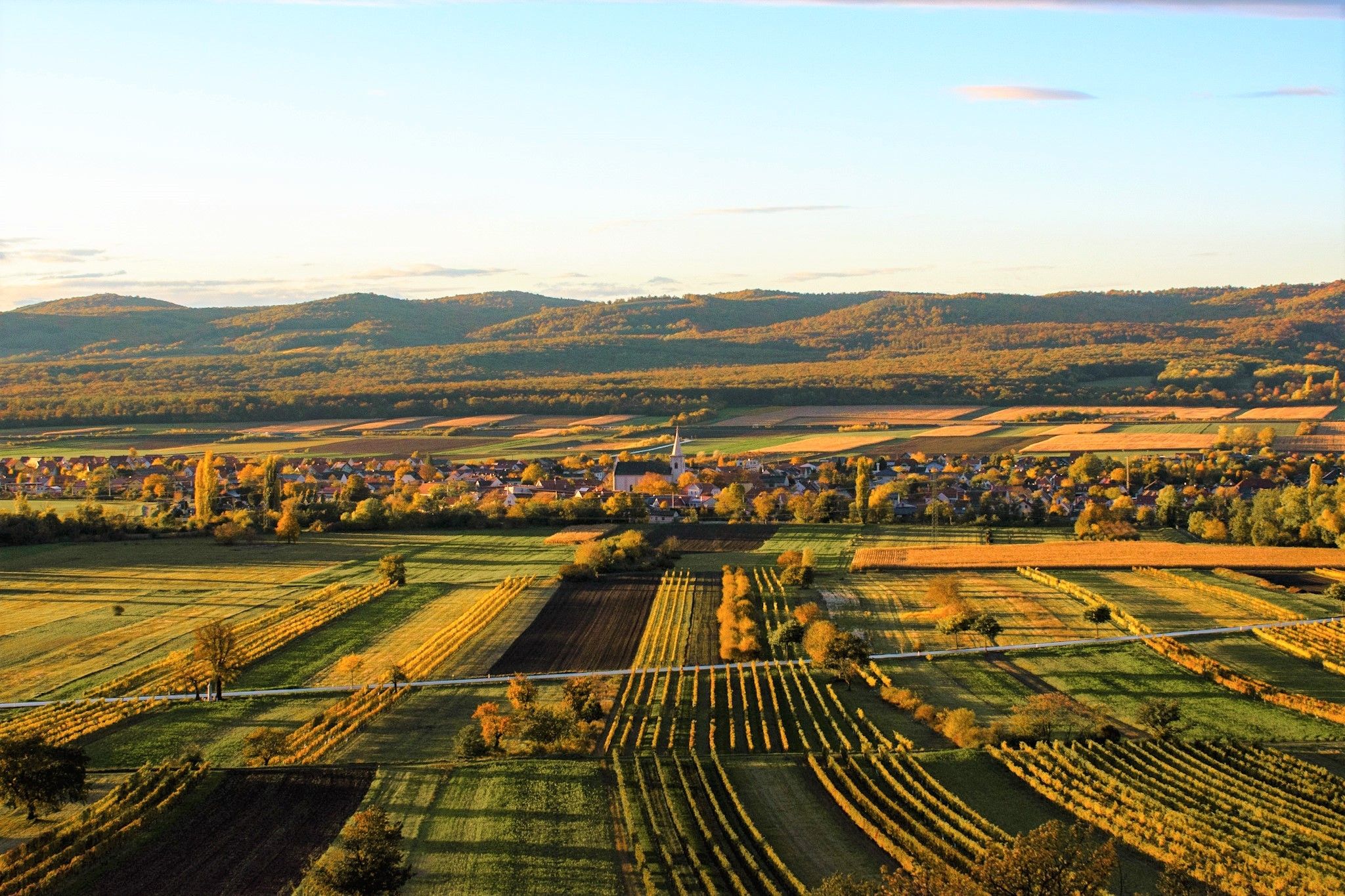 Luftaufnahme von Weinbergen, Feldern und einem kleinen Dorf unter blauem Himmel mit fernen Hügeln.
