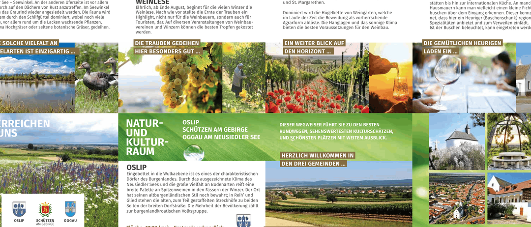 Eine Karte einer Region, die natürliche und kulturelle Attraktionen zeigt, einschließlich Weinbergen, lokaler Weinproduktion und kultureller Wahrzeichen. Sie enthält Abschnitte über die lokale Flora und Fauna sowie die Geographie des Gebiets und hebt dessen einzigartige Merkmale hervor. Sie lädt Besucher ein, die Gegend zu erkunden.