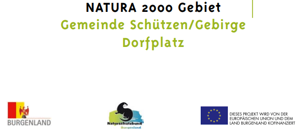 Das Bild zeigt ein Werbeposter für die Natura 2000 Region in Burgenland. Es zeigt leuchtende rote und gelbe Tulpen vor einem grünen Hintergrund. Unter den Tulpen steht in fettem grünem Text 'Natura 2000 Gebiet Gemeinde Schützen/Gebirge Dorfplatz'. Logos für Burgenland, Naturschützbund Burgenland und die Europäische Union sind unten angebracht.